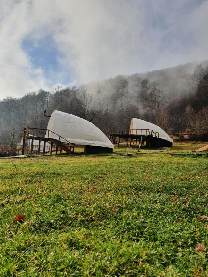 Отель Sunrise Glamping Retreat Galesu Экстерьер фото
